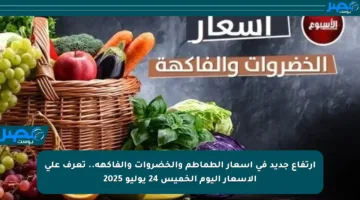 ارتفاع جديد في أسعار الطماطم والخضروات والفاكهة.. تعرف على الأسعار اليوم الخميس 24 يوليو 2025